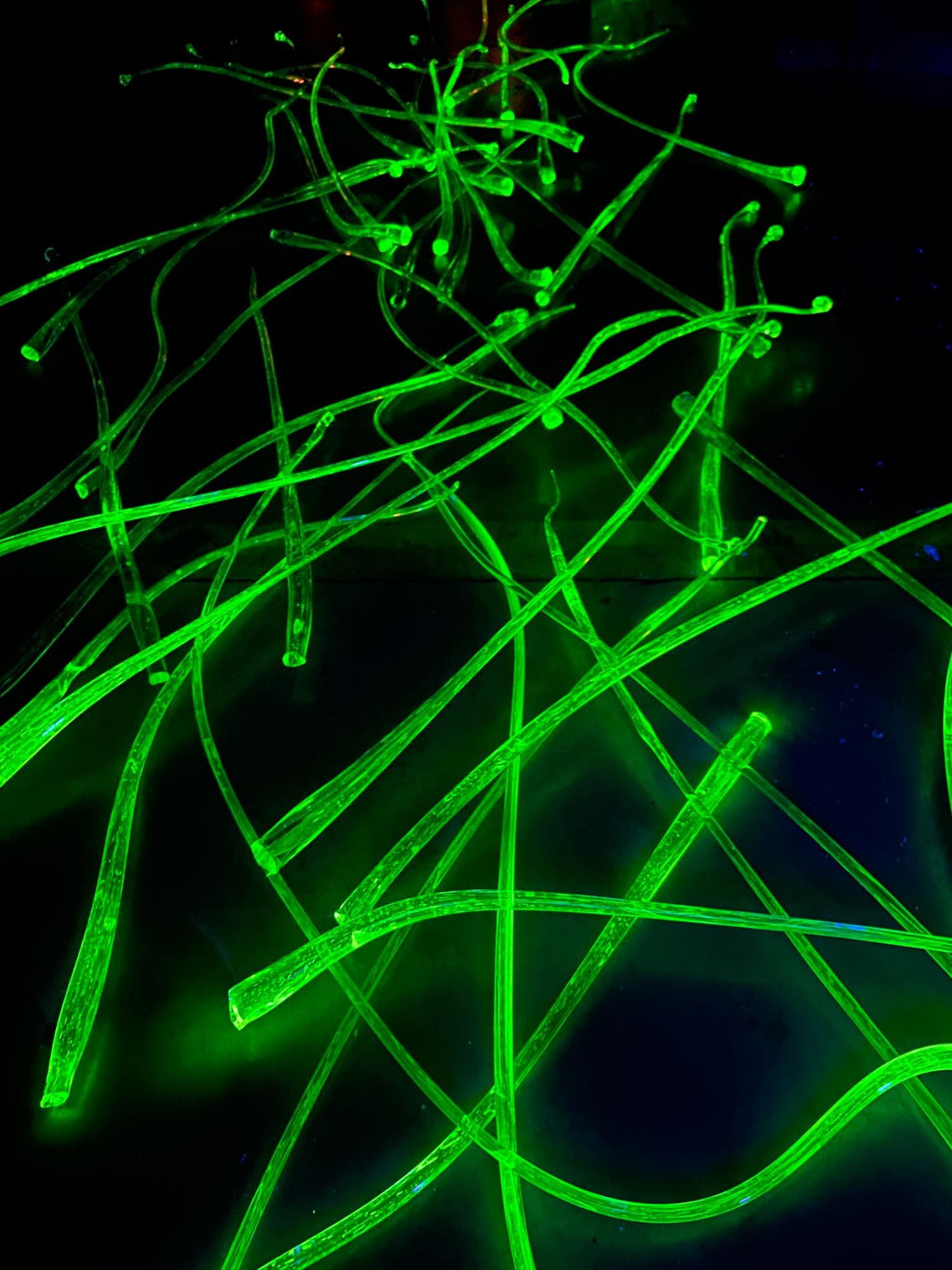 Photographie des recherches en cours d’Estrid Lutz dans l’atelier du Cirva, 2022.
© Estrid Lutz, photo © Estrid Lutz