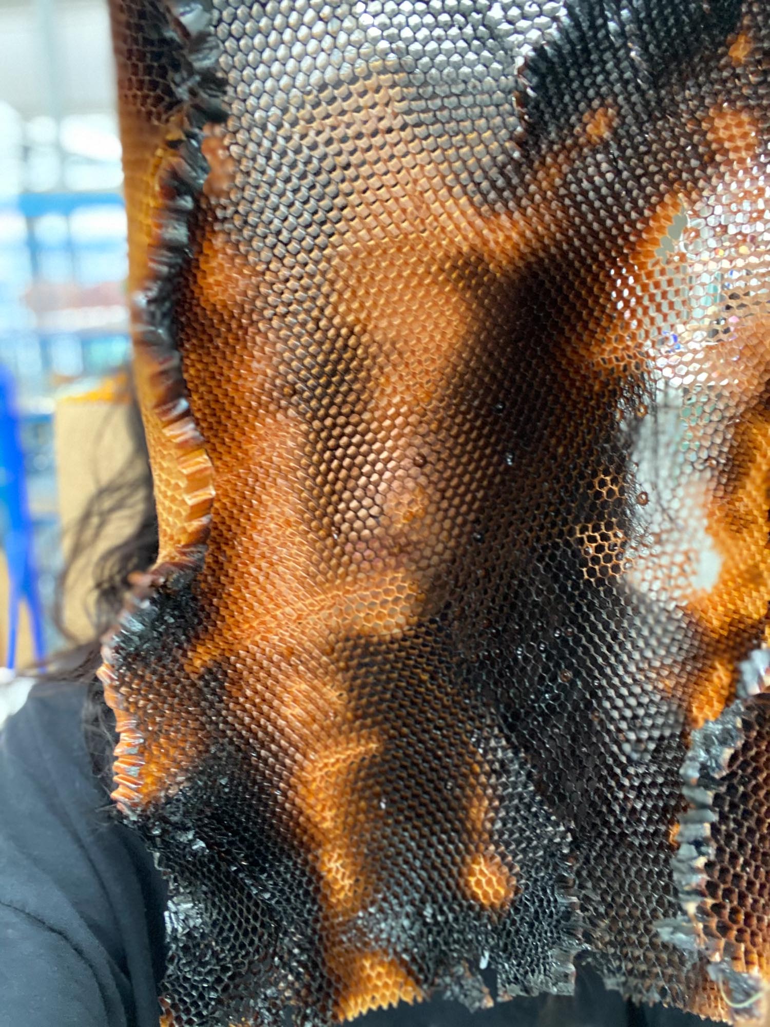 Photographie des recherches en cours d’Estrid Lutz dans l’atelier du Cirva, 2022.
© Estrid Lutz, photo © Estrid Lutz