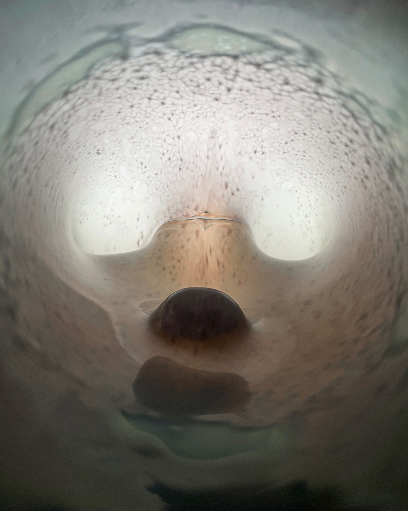 HaYoung, *Ph-X*, 2025, production / réalisation Cirva, Marseille.